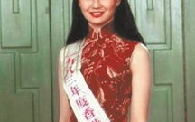张曼玉个人资料简,跨越时代的电影传奇，多才多艺的华语影后