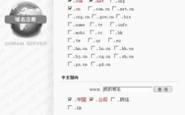 如何注册中文域名,中文域名的注册步骤解析