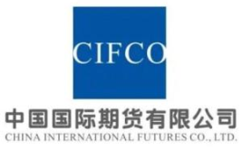 中国国际期货,市场动态与投资策略解析”