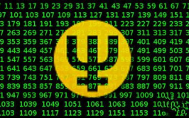 质数币,探索数字货币的黄金时代