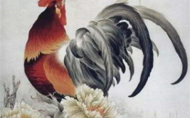 属鸡2020年运势及运程,机遇与挑战并存