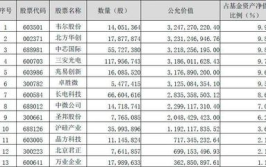 诺安价值基金净值,稳健增长与投资策略洞察”