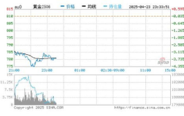 国际实时金价,解析当前国际金价动态”