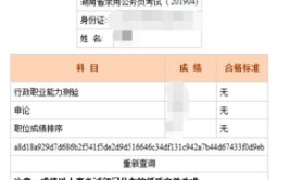 公务员成绩查询,流程、时间及入口解析