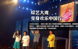 中国电视娱乐节目,解码中国电视娱乐节目魅力
