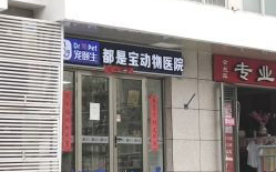 北京 宠物医院,全方位呵护您的爱宠健康乐园