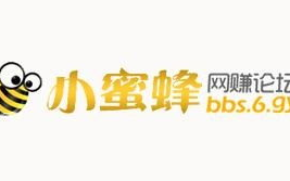 网赚论坛波波网赚,揭秘网络赚钱攻略与实战技巧
